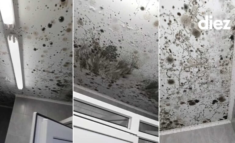 Renovarea recentă a căminului din Chișinău, umbrită de mucegai și restricții la baie