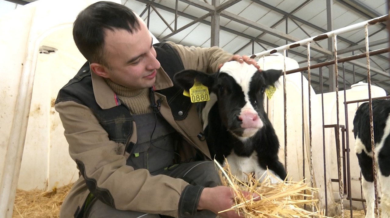Tânărul medic veterinar începe cariera într-o fermă cu 1.400 de bovine la Horești