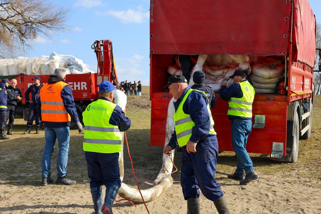 România trimite echipamente vitale Republicii Moldova pentru protecția Nistrului