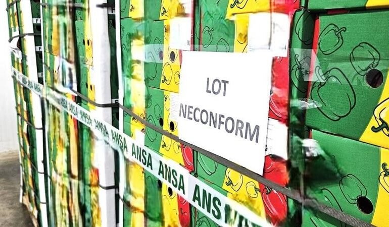 ANSA distruge peste 9 tone de ardei plini cu pesticide la vamă