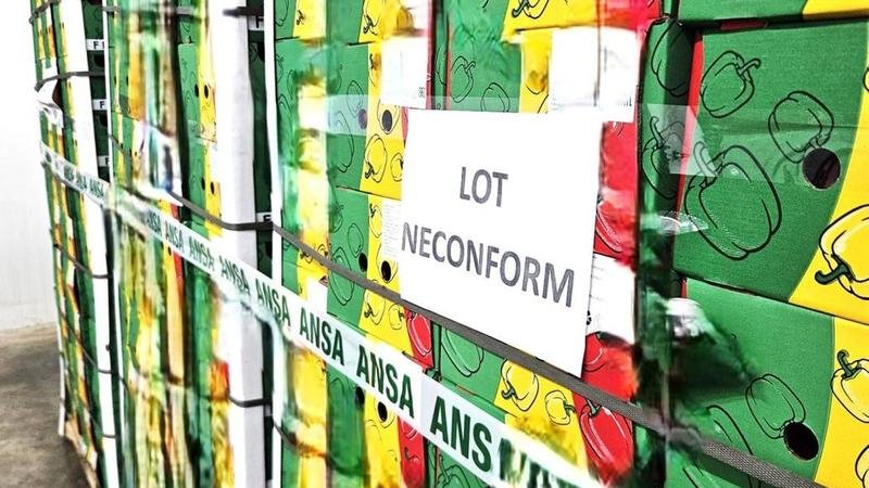 ANSA distruge peste 9 tone de ardei plini cu pesticide la vamă