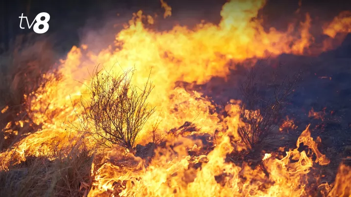 Peste 50 de hectare de vegetație au ars în ultimele 24 de ore, afectate de incendii