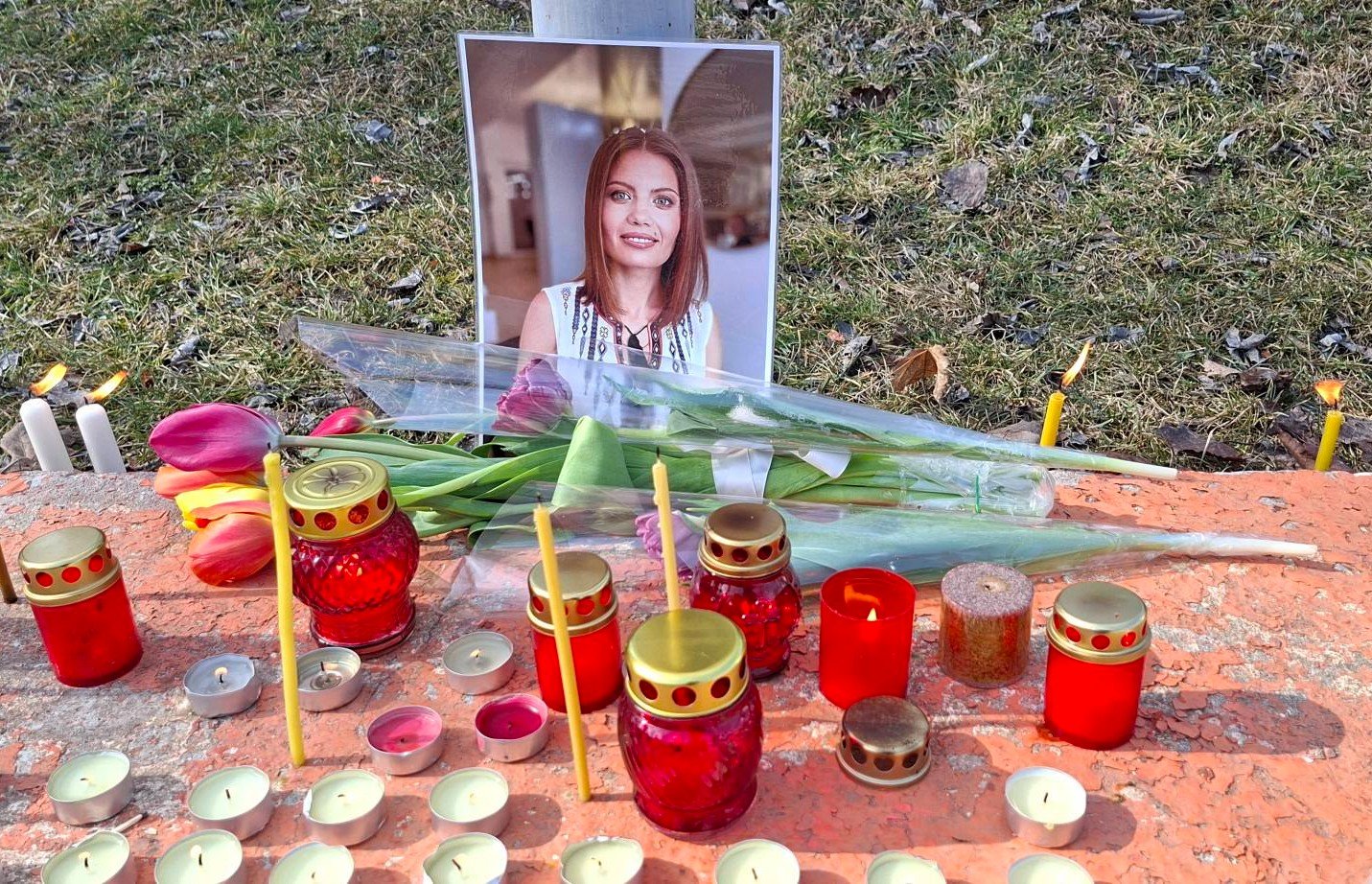 Autoritățile monitorizează copiii Luidmilei Vartik, după tragedia din Hîncești