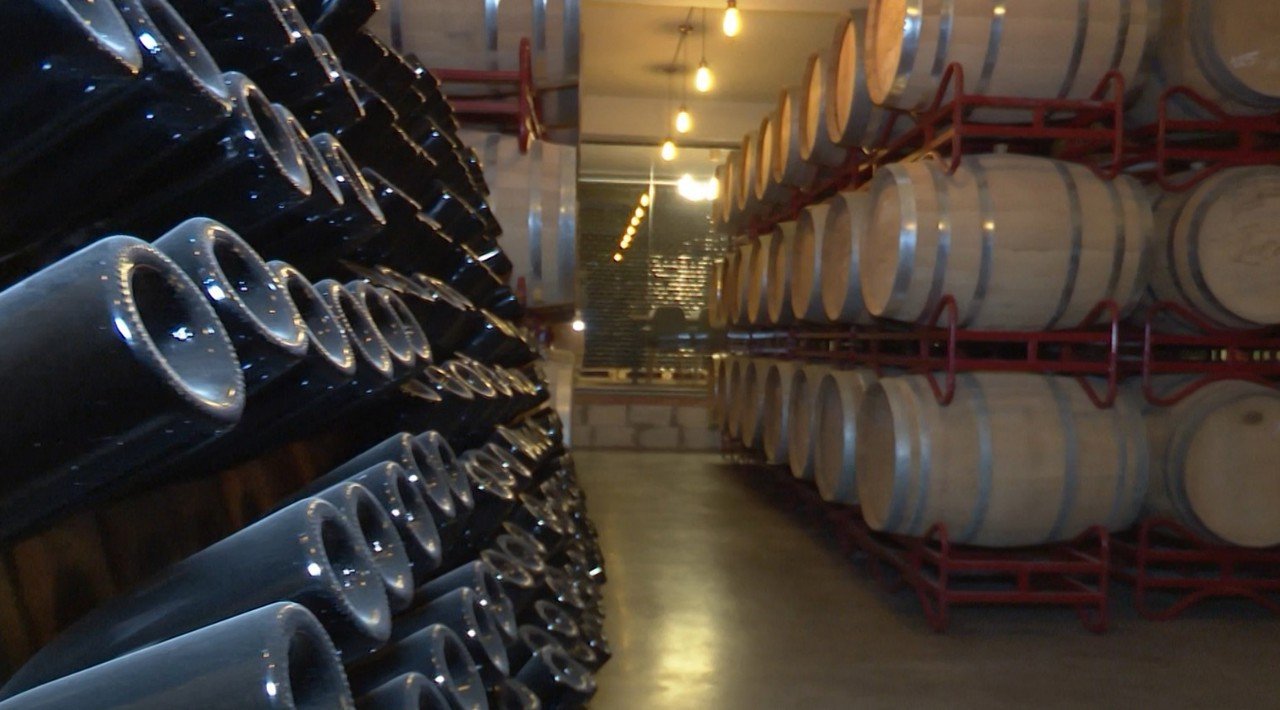 Embargoul Rus din 2006 a forțat Moldova să modernizeze exportul vinului