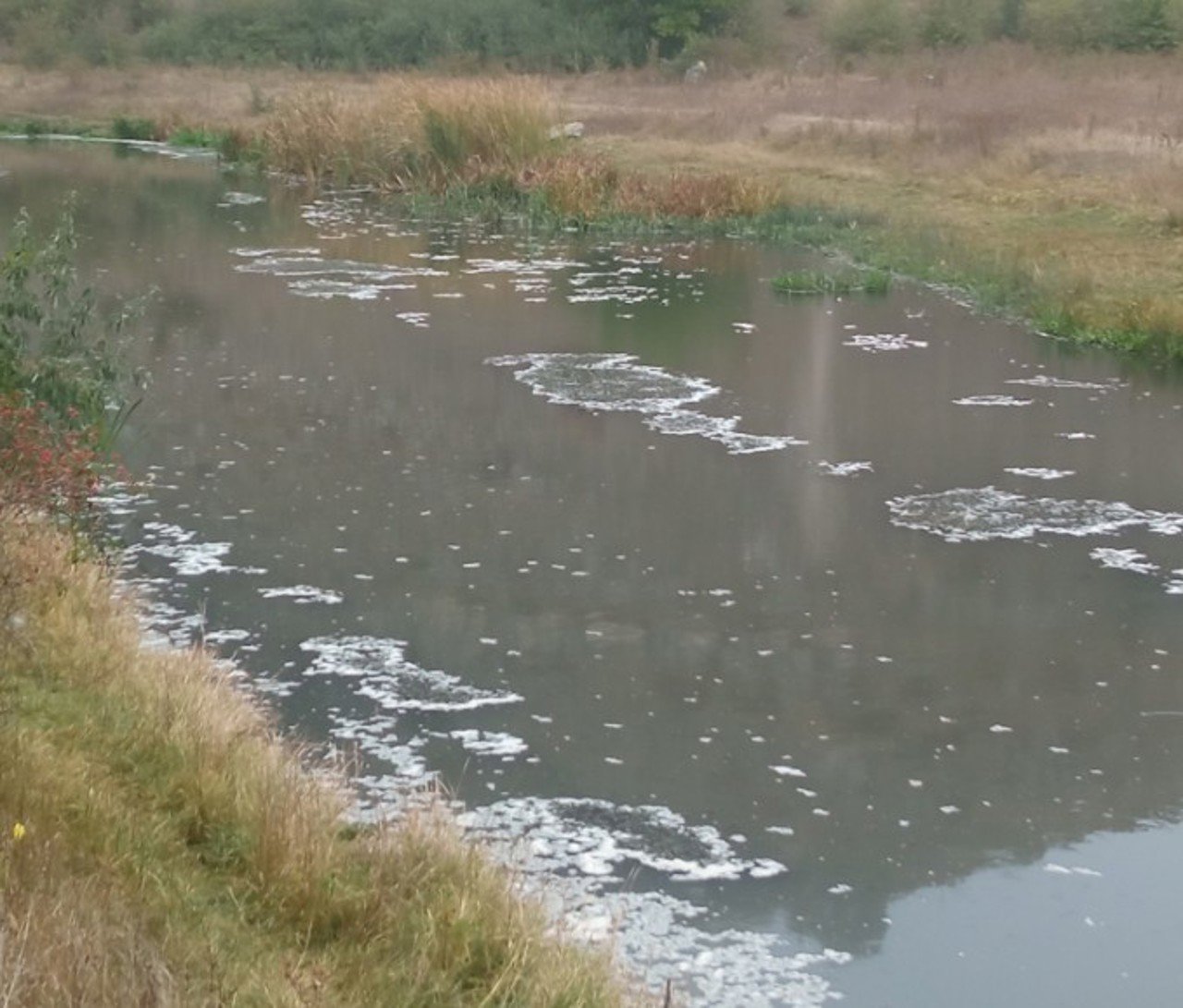 Poluare severă pe râul Răut, sursa suspectată: Stația de epurare Orhei