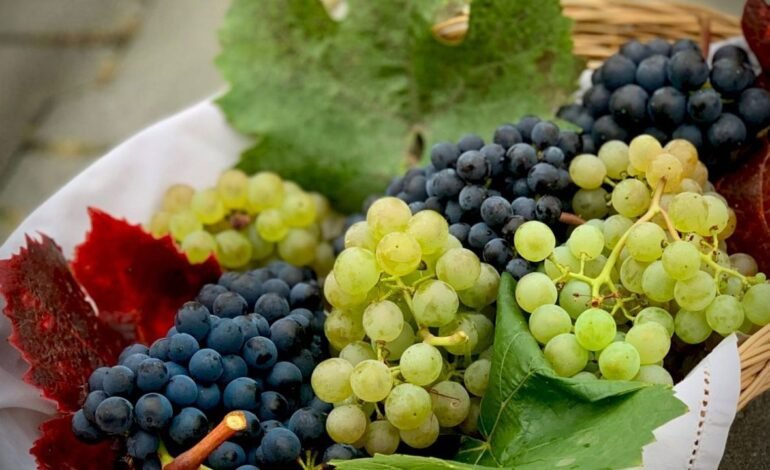 Femeile din Moldova promovează mere și struguri pe piețe internaționale