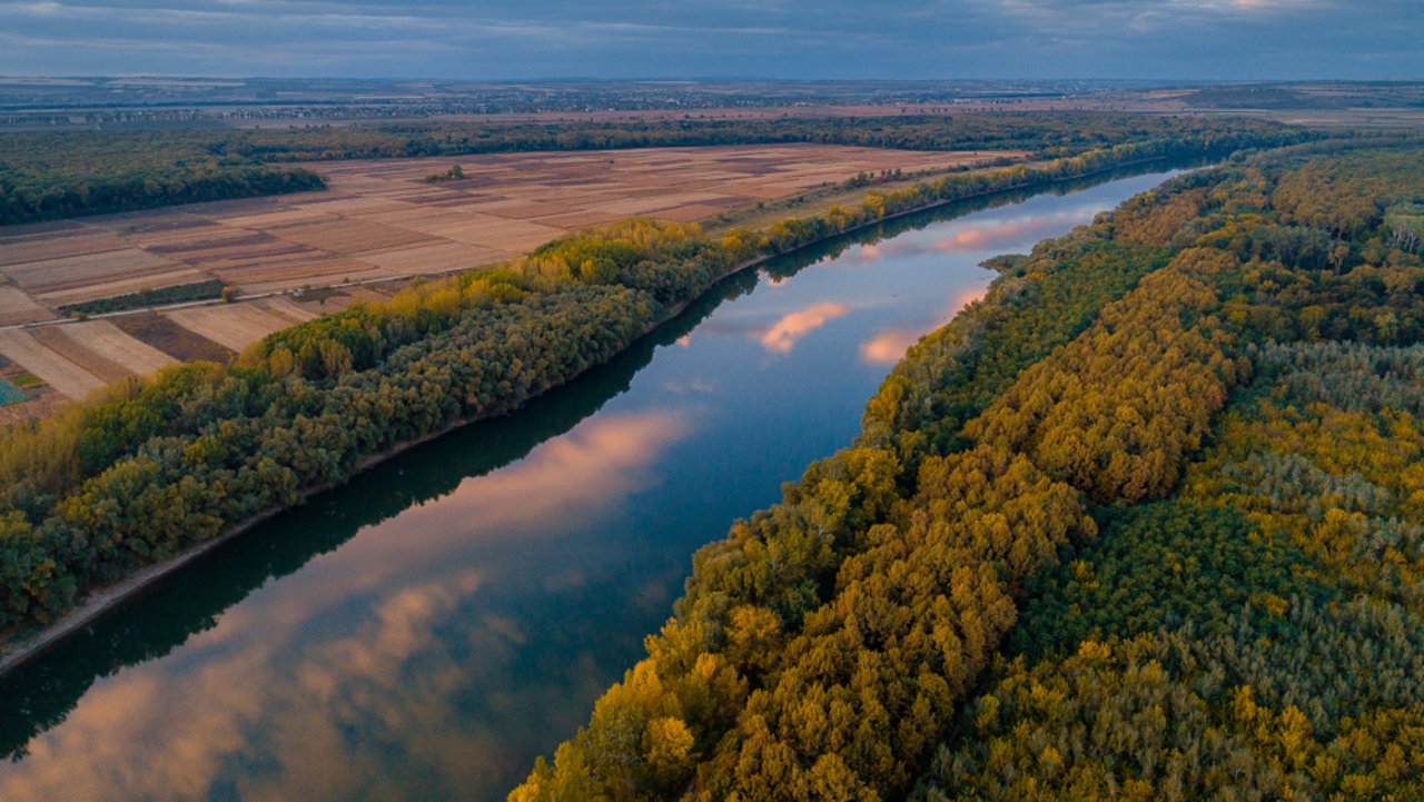 Moldova va împăduri 1.800 hectare pentru a proteja ecosistemele Nistrului