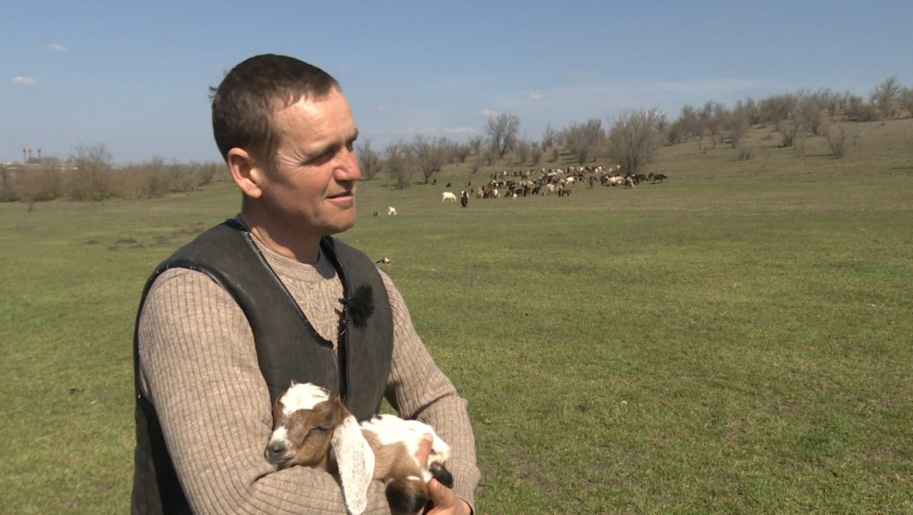 De la două capre la fermă cu 160 de animale în Sadaclia, Basarabeasca
