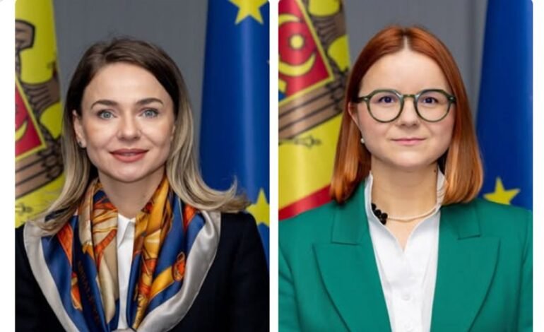 Guvernul extinde echipa pentru integrare europeană cu doi secretari de stat