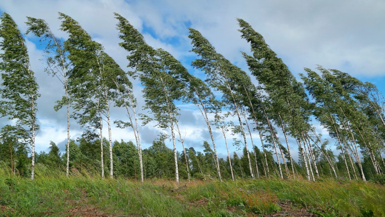 Meteorologii anunță cod galben de vânt puternic în toată țara
