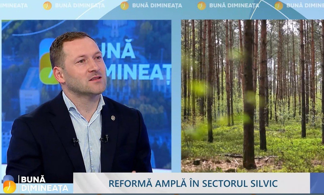 Specialiștii acționează pe râul Nistru după poluarea petrolieră severă