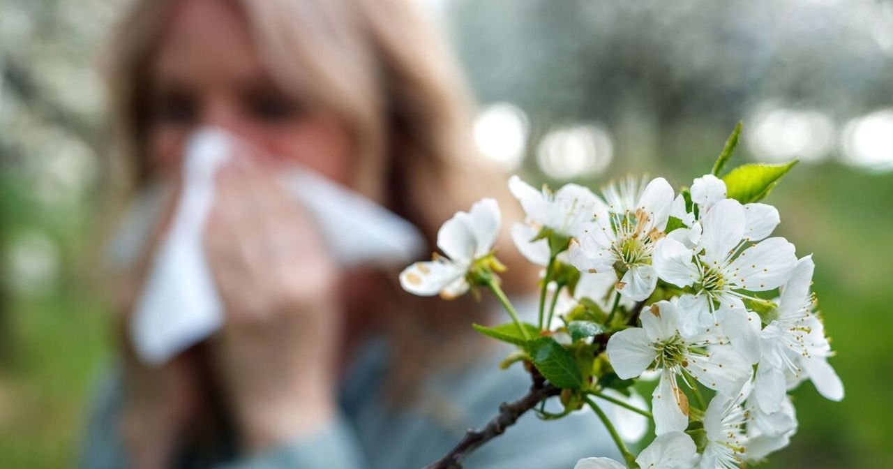 Primăvara intensifică alergiile: medici avertizează asupra rinitei și astmului