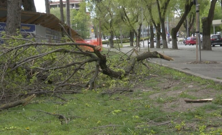 Pompierii au intervenit în peste 120 de cazuri după furtuna puternică din Moldova