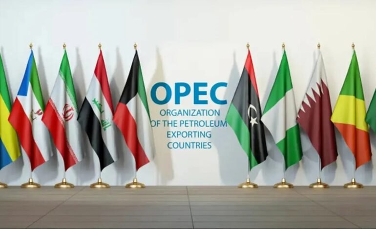 Emiratele Arabe se retrag din OPEC+, SUA salută decizia, Rusia continuă alianța