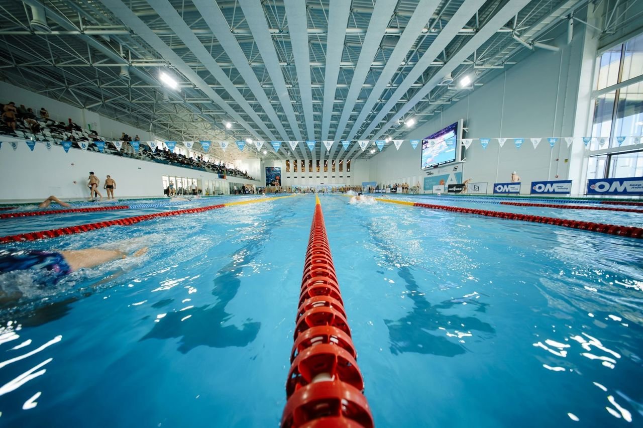Federația Europeană de Natație sprijină construcția unui bazin olimpic în Moldova