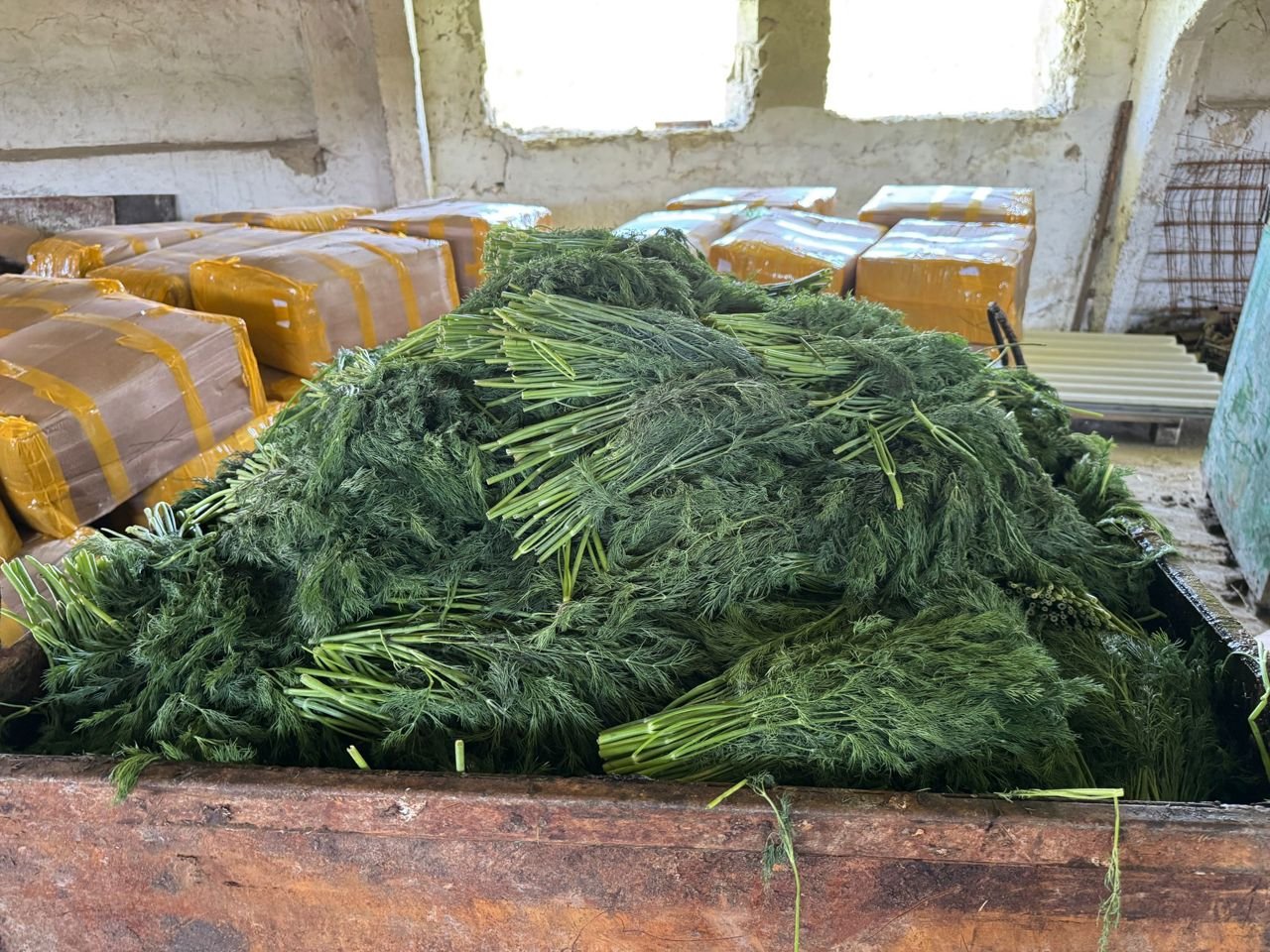 ANSA retrage și distruge un lot de 10 tone de mărar cu pesticide peste limite