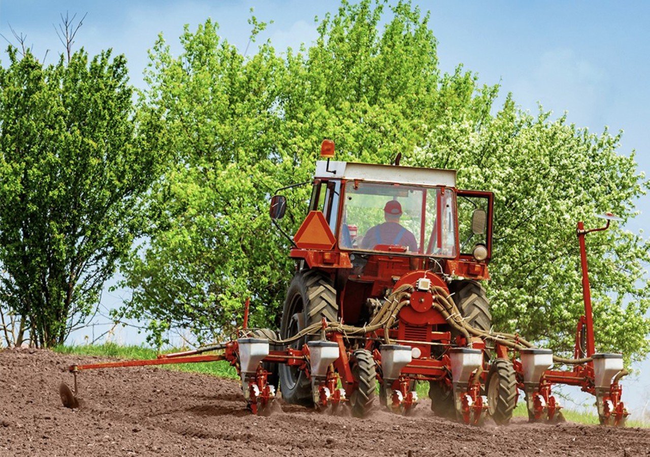 Agricultura ecologică crește în Moldova, fermierii caută soluții durabile