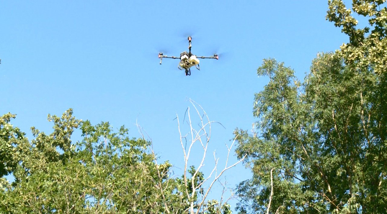 Drone aplică tratamente fitosanitare pentru protejarea pădurilor de dăunători