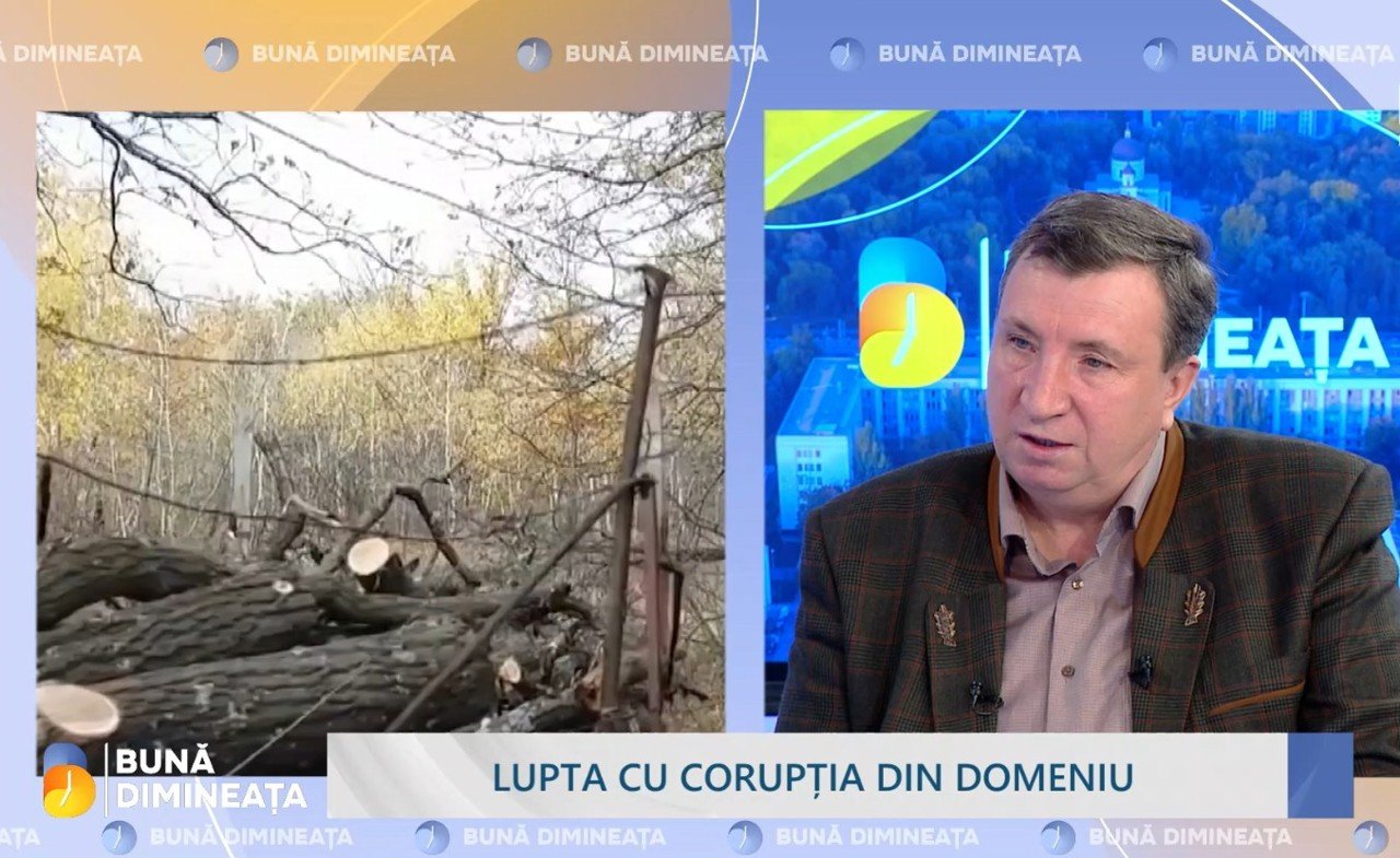 Autoritățile modernizează Agenția Moldsilva fără concedieri, cu reforme majore