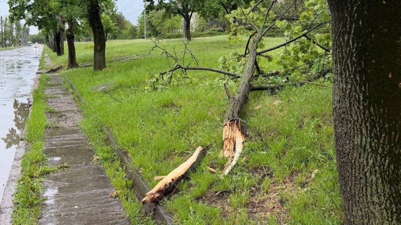 Ploile torențiale și vântul puternic din 21 mai au generat intervenții urgente