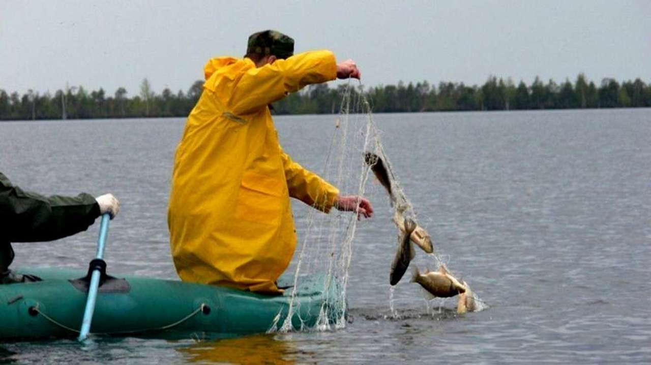 Braconajul piscicol crește presiunea asupra ecosistemelor acvatice din Moldova