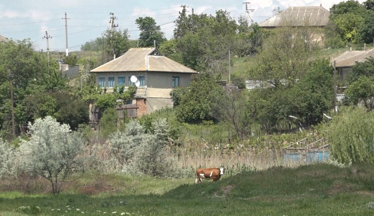 Gospodari din Cahul primesc 90 de tone furaje pentru animale afectate de secetă