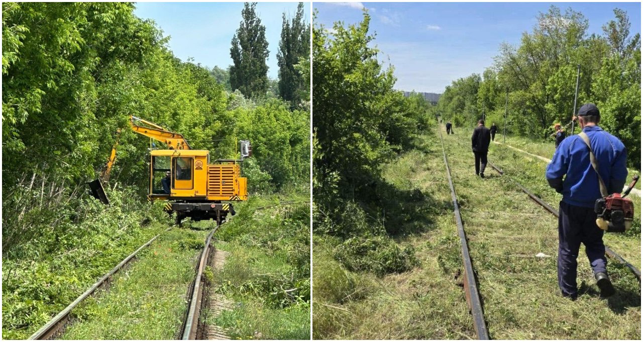 CFM intensifică lucrările de defrișare pentru siguranța căilor ferate