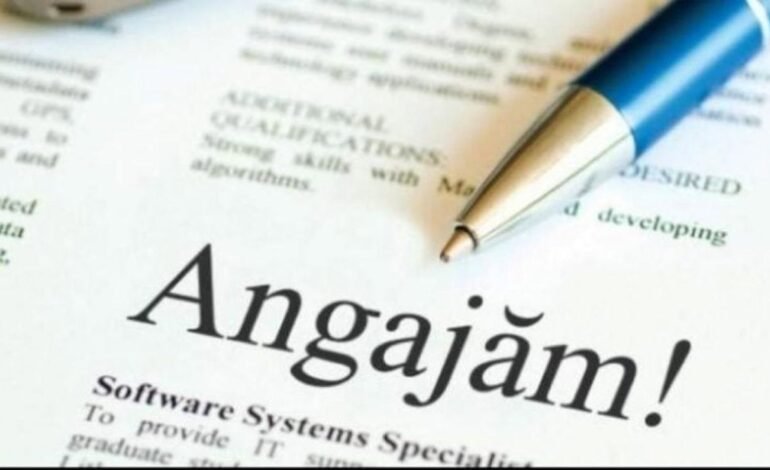 ANOFM angajează peste 11.000 persoane din Moldova în 2024